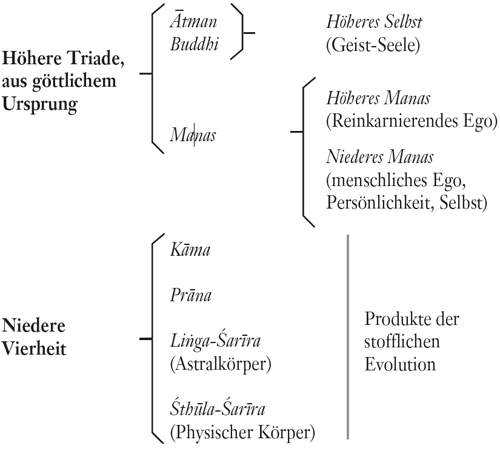 TP 6 Diagramm 1